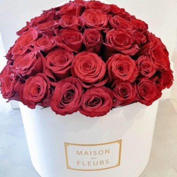 Красные розы в коробке Maison