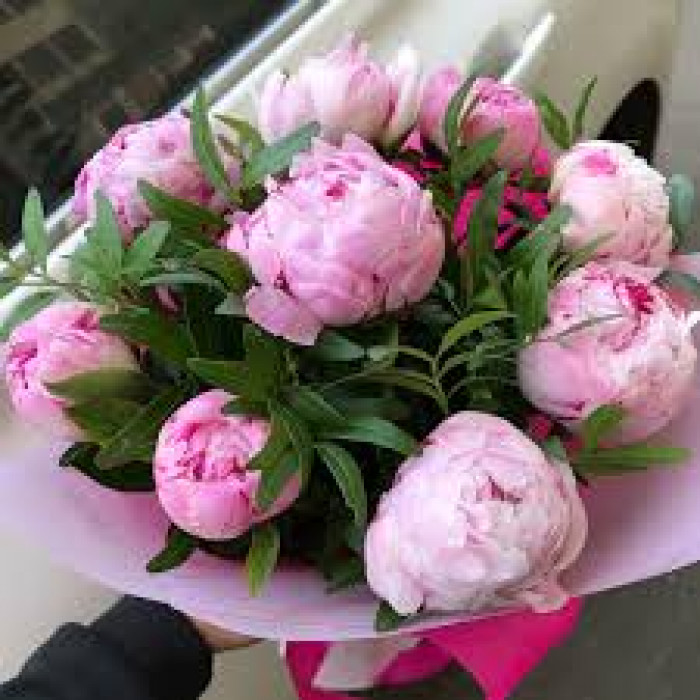 Пион древовидный в Есике