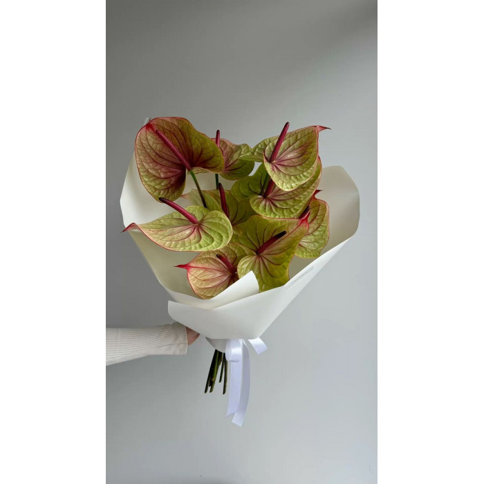 Антуриумы в Есике