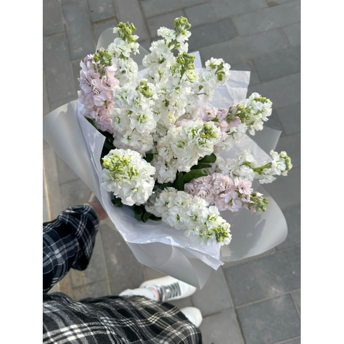 Маттиола в Есике