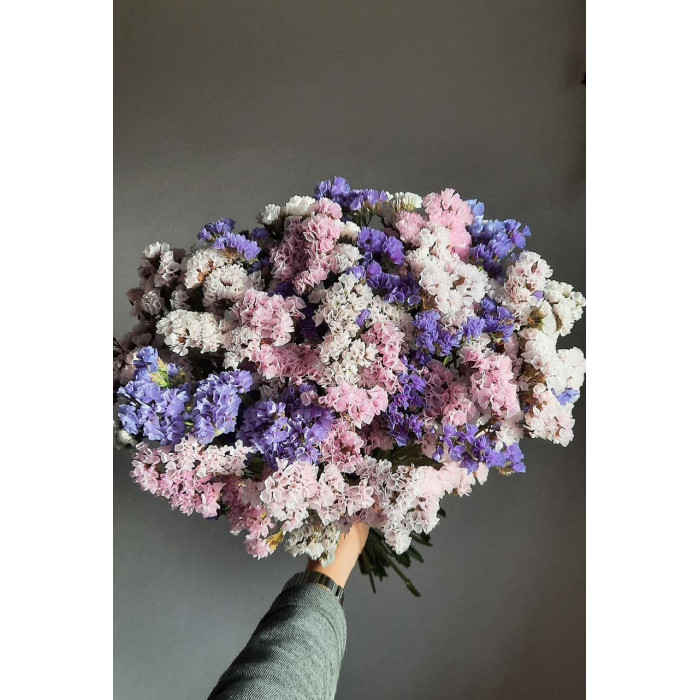 Статица (Лимониум) в Есике