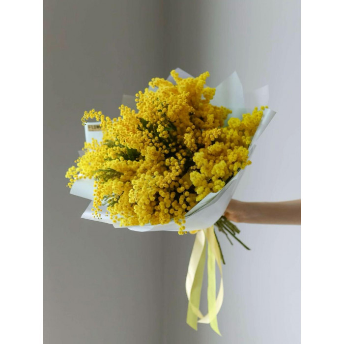 Мимоза в Есике