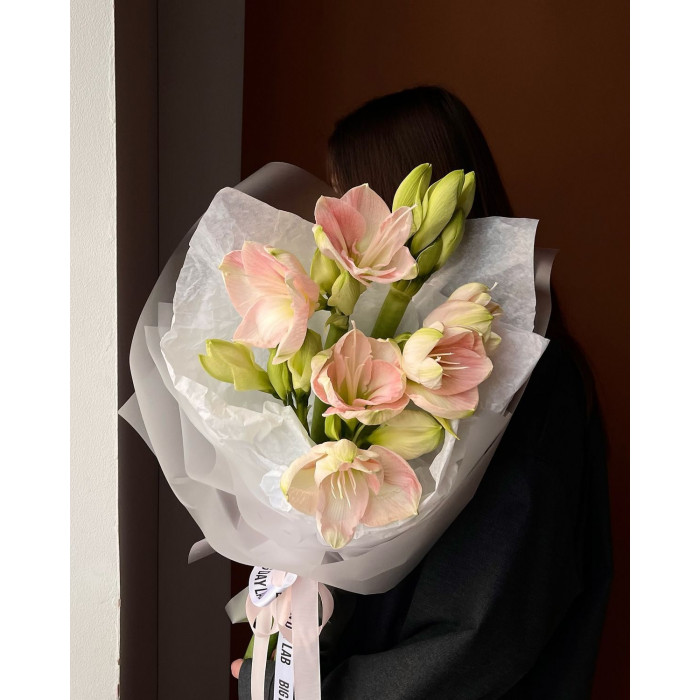 Амариллис в Есике