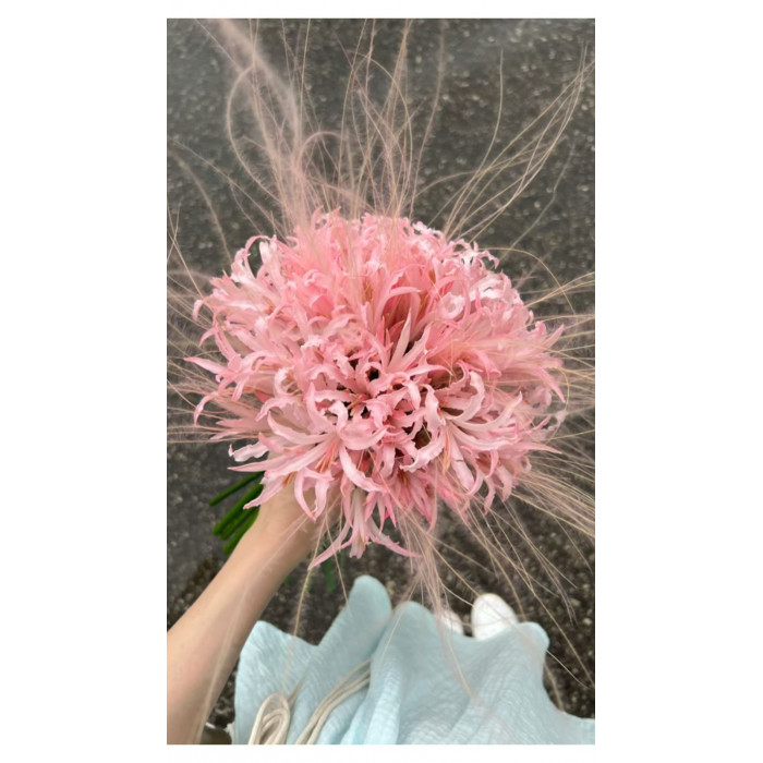 Нерине в Есике