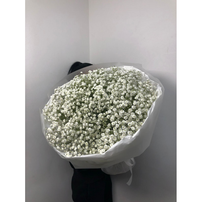 Гипсофила классическая в Есике