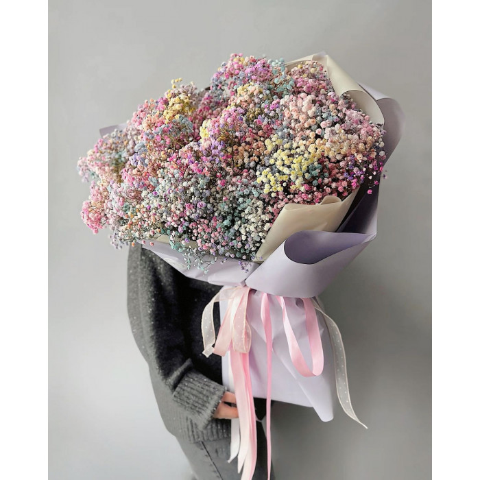 Гипсофила цветная в Есике