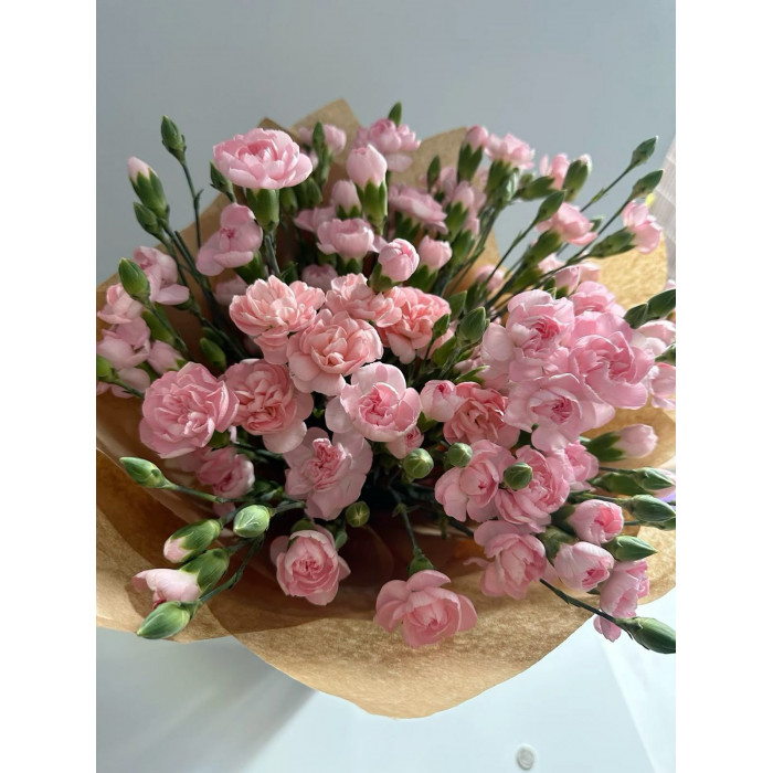 Кустовые гвоздики в Есике