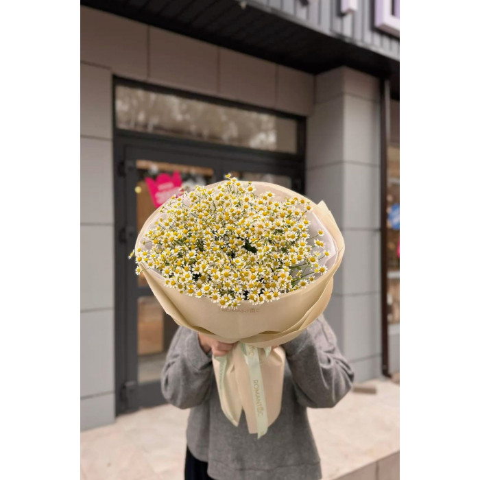 Танацетум в Есике