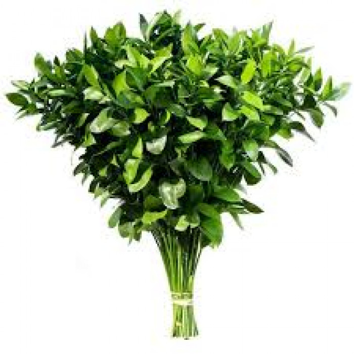 Рускус в Есике