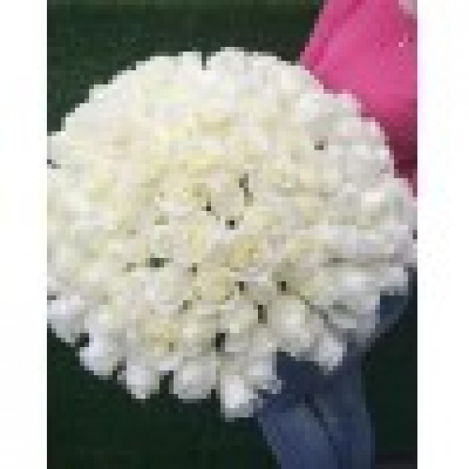 Букет из 75 белых роз