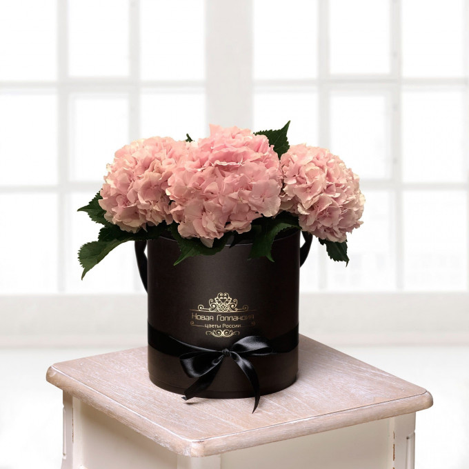 Гортензии в шляпной коробке Гортензии в шляпной коробке