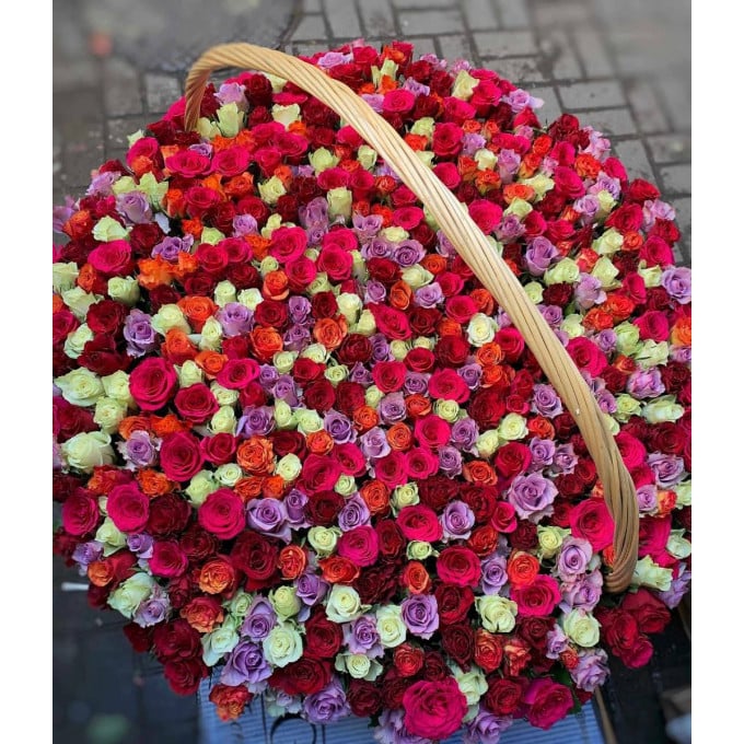 201 роза 201 роза