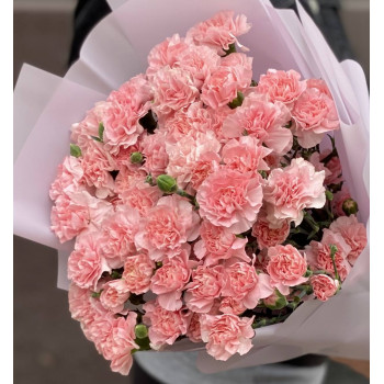 Букет из гвоздик (25 шт.) Букет из гвоздик (25 шт.)