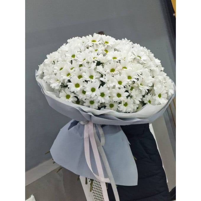 25 хризантем 25 хризантем