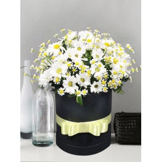 Изящные ромашки в стильной коробке